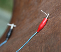 Equine acupuncture