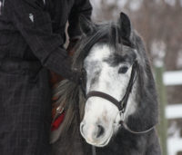 torin.closeup.winter.2010
