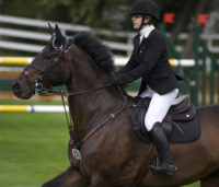 Show jumping in the Canada Ring at the 2013 Spruce Meadows' Masters. Photo: Myrna MacDonald. Show jumping in the Canada Ring at the 2013 Spruce Meadows' Masters in Calgary, Alta. Photo: Myrna MacDonald.