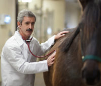 Dr. Fernando Marqués is one of the featured speakers at the VMC spring equine education day on May 14. Photo: Christy Weese.