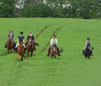 Riders take their horses on a trail ride in Grasswood Horse Park. Submitted photos.