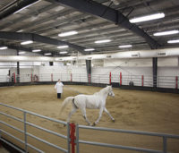 The WCVM is hosting a lameness-focused equine education event for local horse owners on Oct. 30. Photo: Christina Weese.